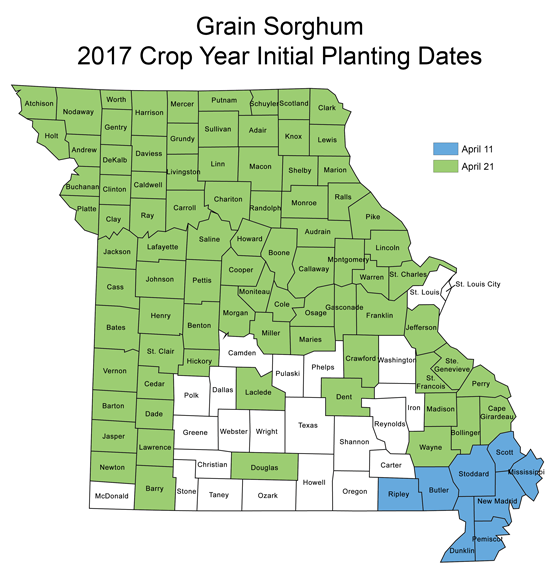 Map of Sorghum Initial Planting Date